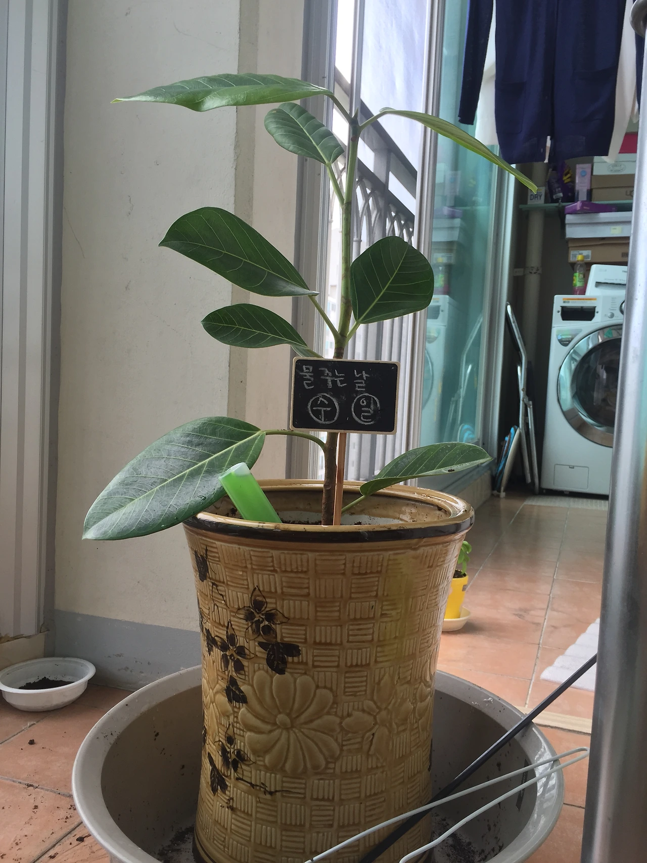 2015-07-04 13.26.38.jpg