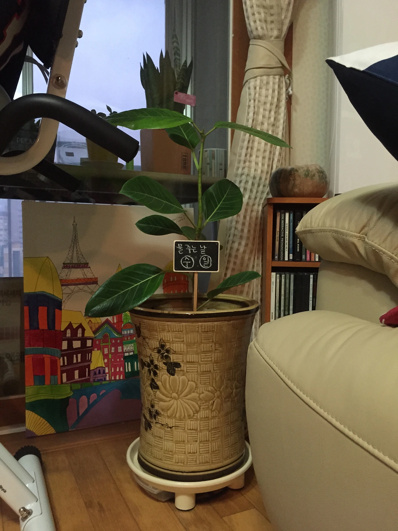 2015-07-04 19.52.05.jpg