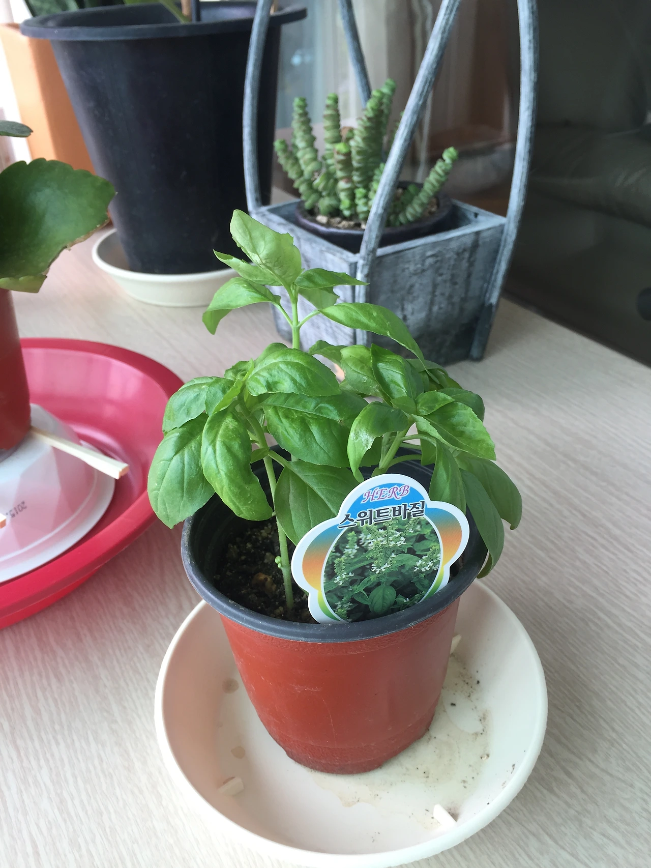 2015-07-04 12.24.43.jpg