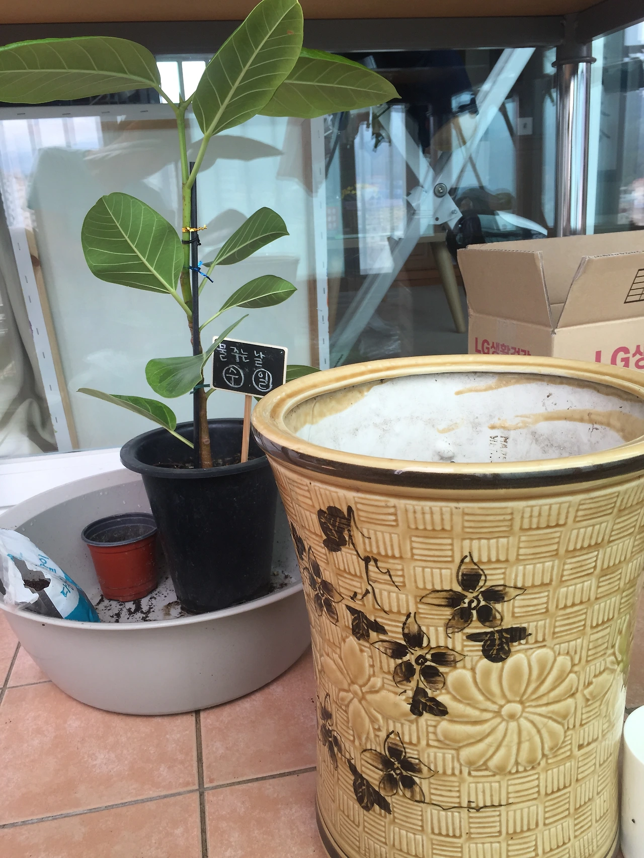 2015-07-04 12.43.18.jpg