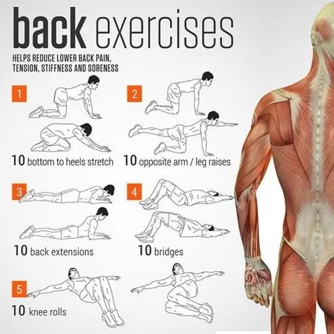 11 Dynamic Stretch Exercises To Assist With Massaging Hard To Reach Muscles For Instant Relief - GymGuider_com.jpeg