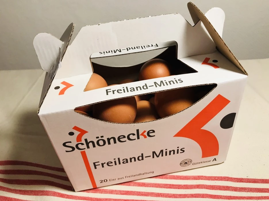 IMG_2199.jpg?type=w1