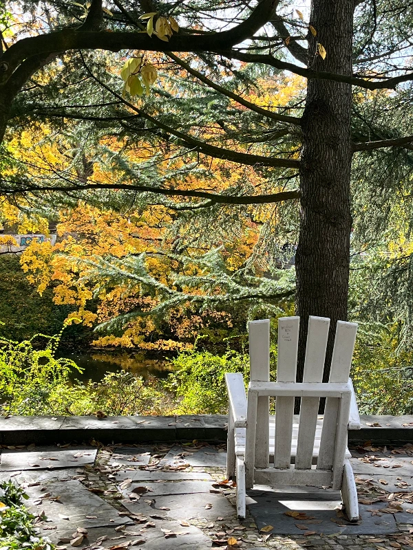 함부르크 공원.jpeg