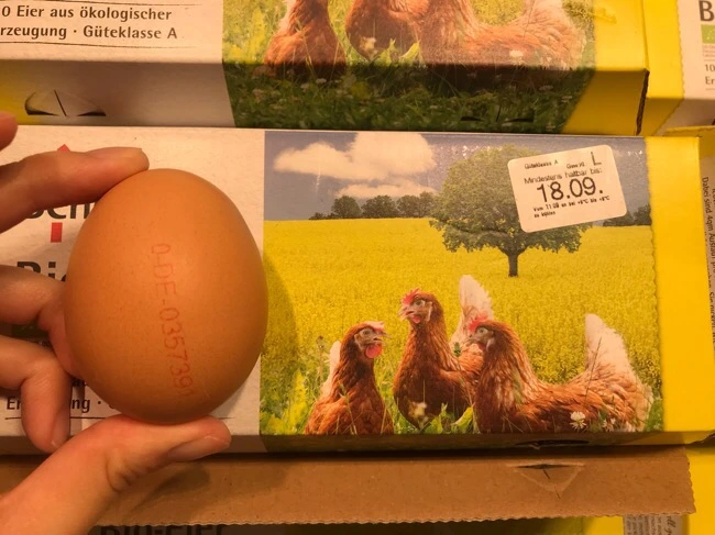 IMG_7024.jpg?type=w1