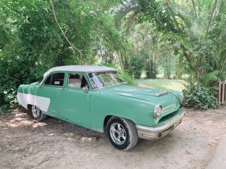 IMG_2022.JPG?type=w466