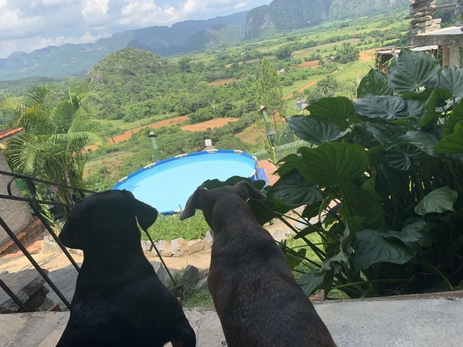 IMG_1749.jpg?type=w1