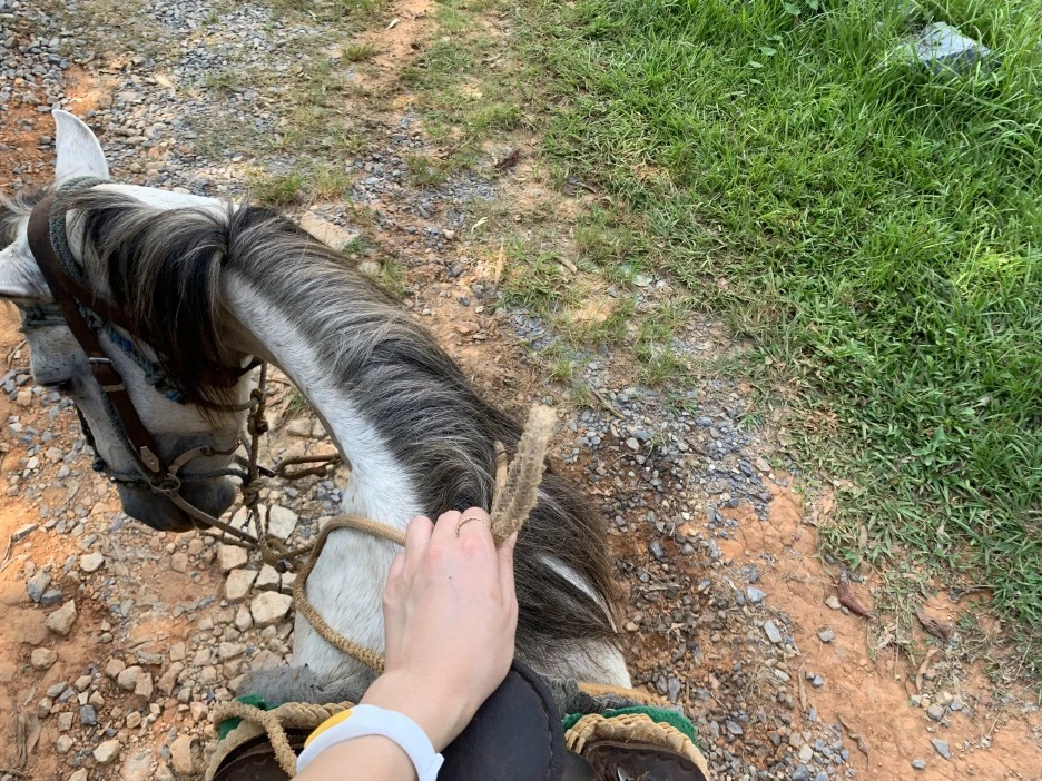 IMG_1788.jpg?type=w1