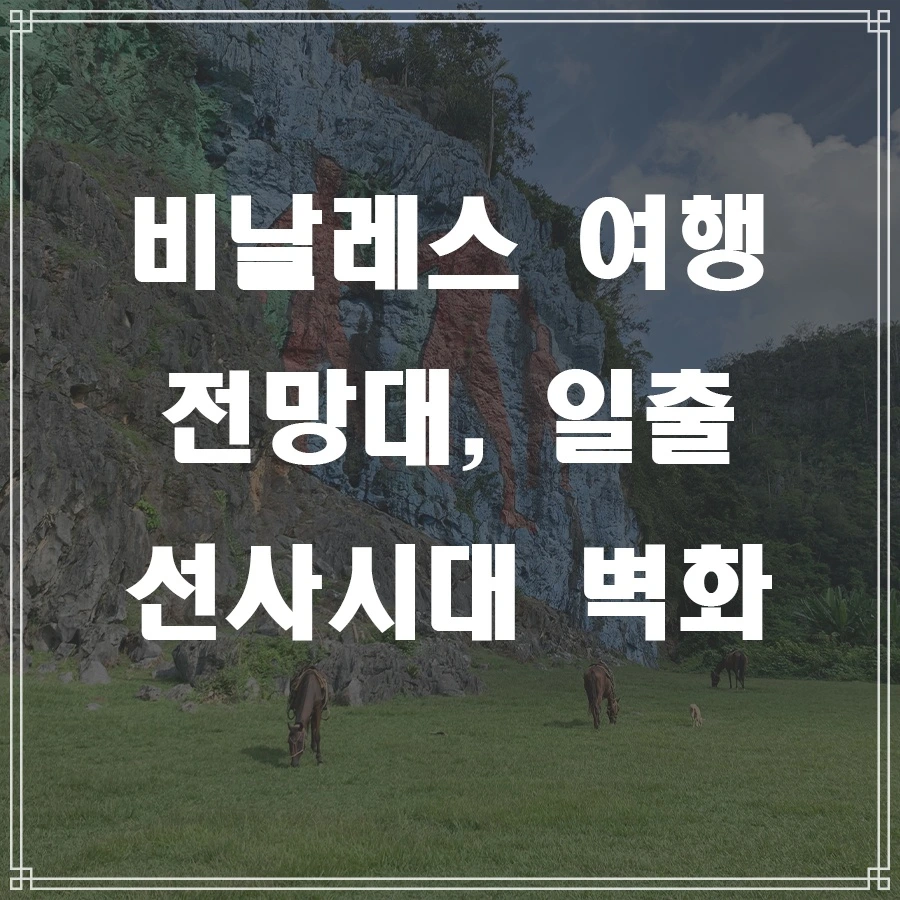 %EB%B9%84%EB%82%A0%EB%A0%88%EC%8A%A4_%EC%84%A0%EC%82%AC%EC%8B%9C%EB%8C%80.jpg?type=w966