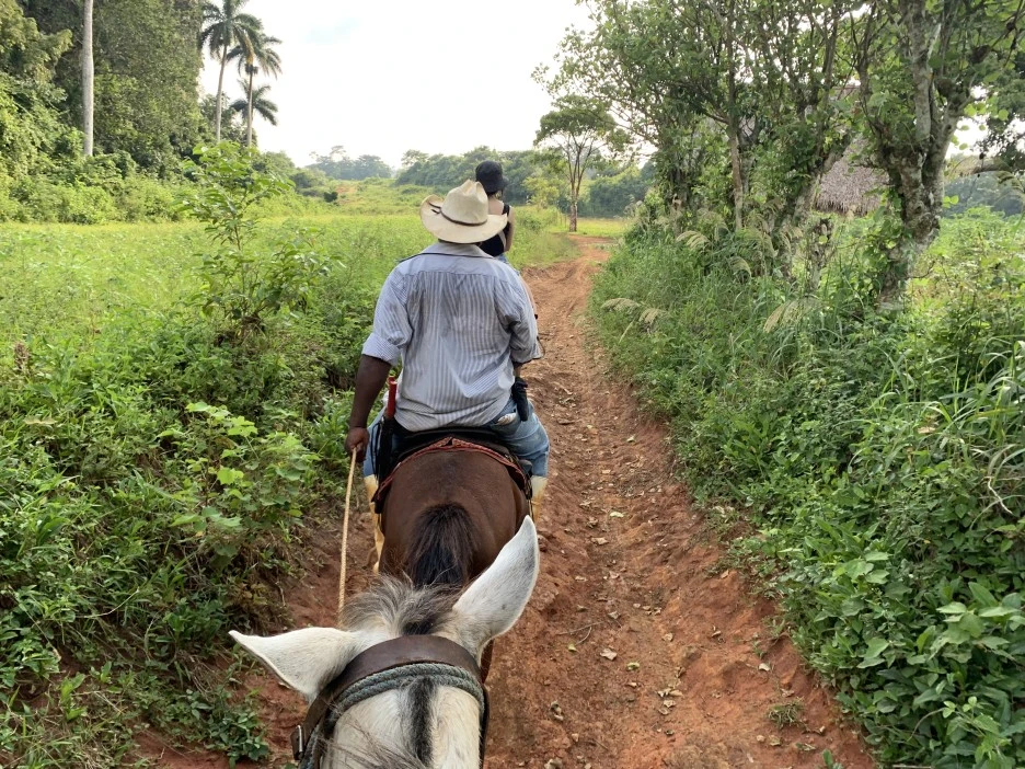 IMG_1807.jpg?type=w1