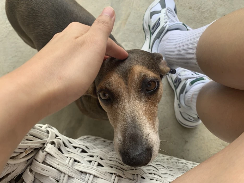 IMG_1739.JPEG?type=w1