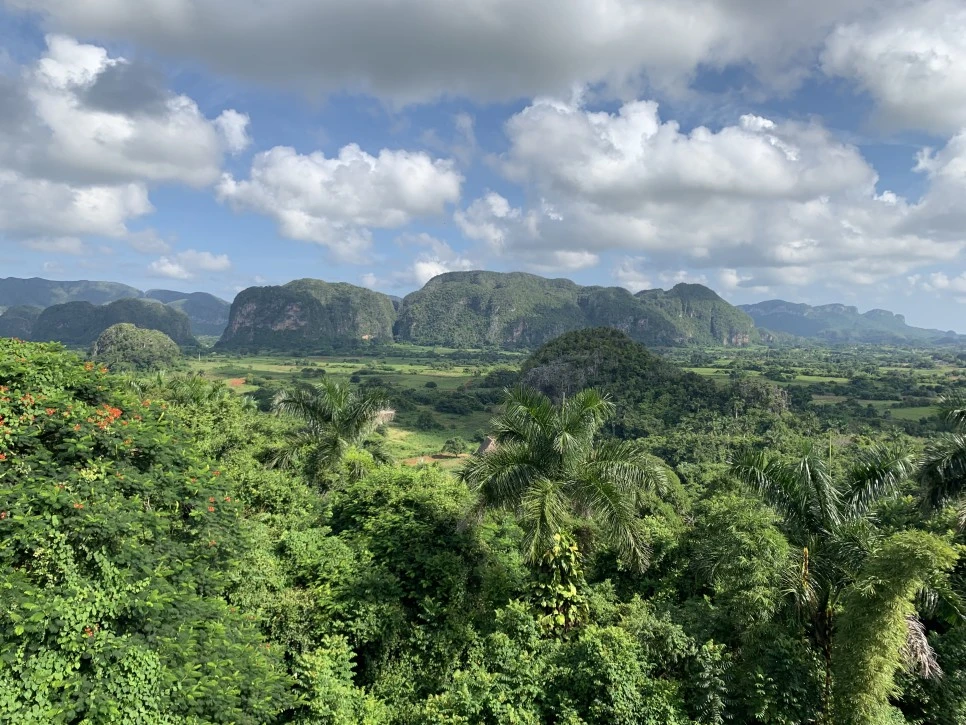 IMG_1937.jpg?type=w966