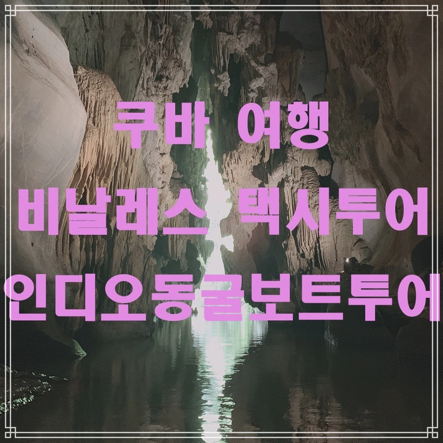 %EB%8F%99%EA%B5%B4_%EB%B3%B4%ED%8A%B8%ED%88%AC%EC%96%B4.jpg?type=w966