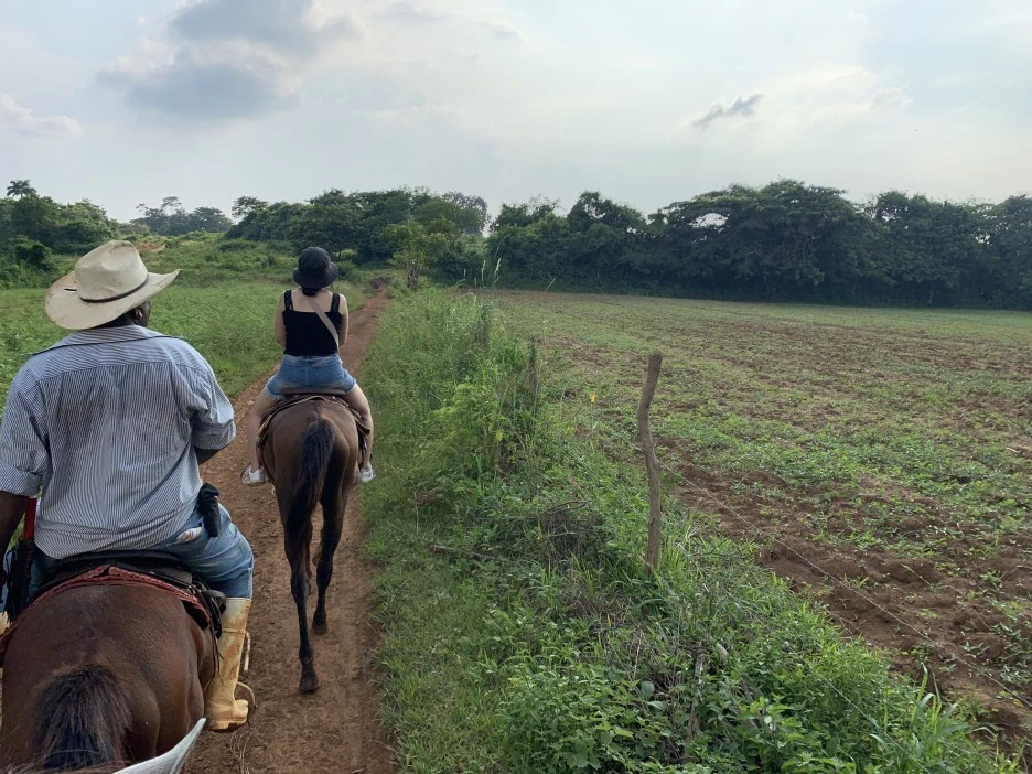 IMG_1809.jpg?type=w1