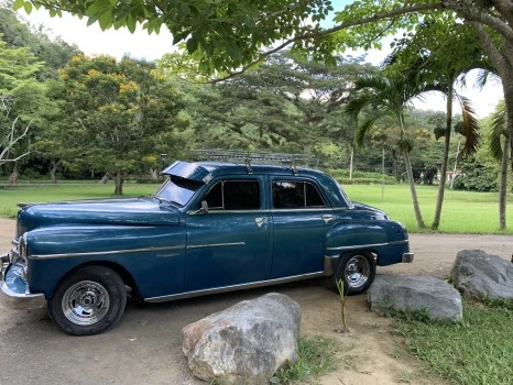 IMG_2015.jpg?type=w466