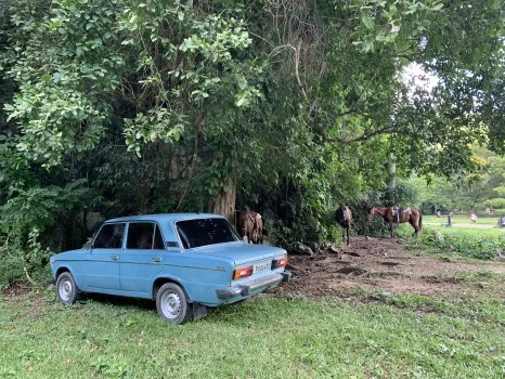 IMG_2011.jpg?type=w466