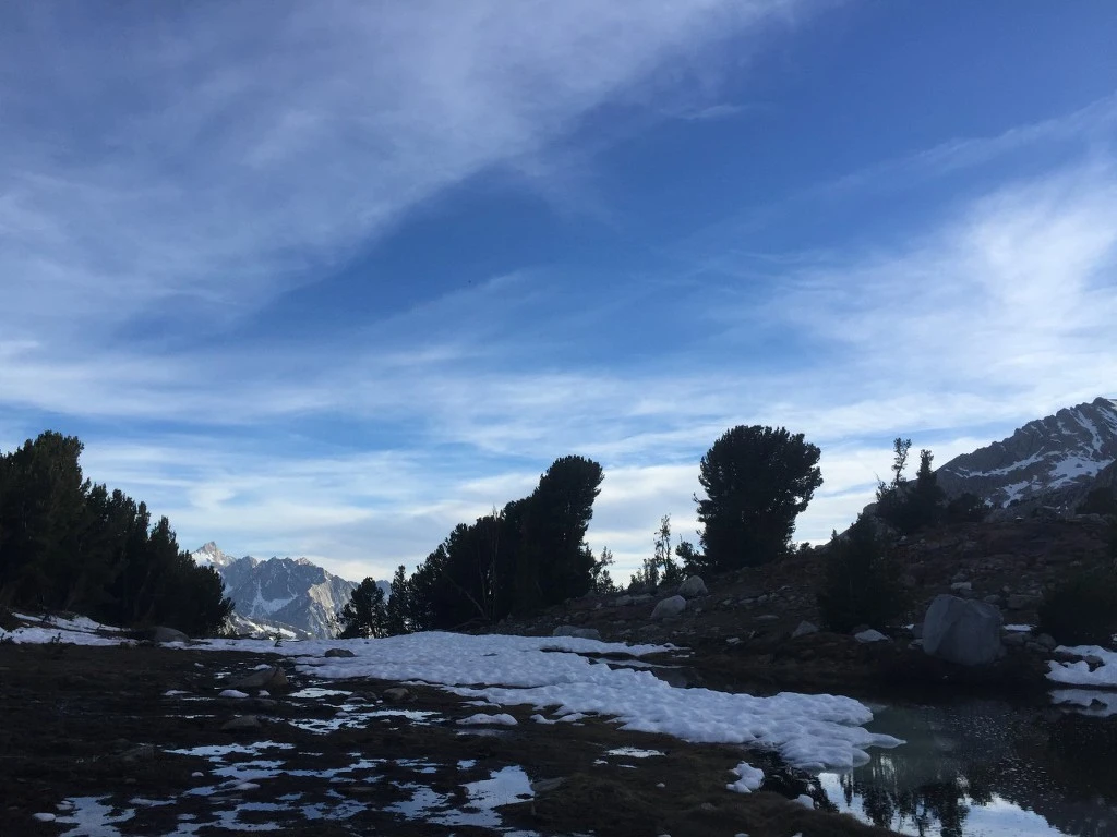 99DD5C4B5BB034D82C38BE