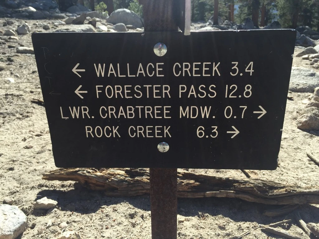 992ED63A5BAA9B36333301