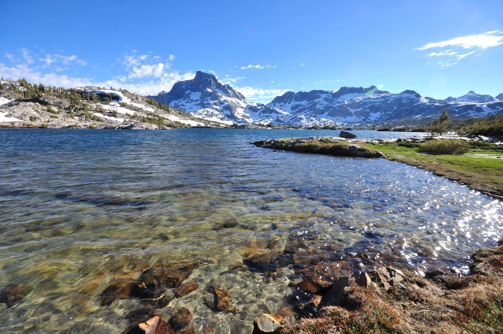 99F05D455C4A716014979E