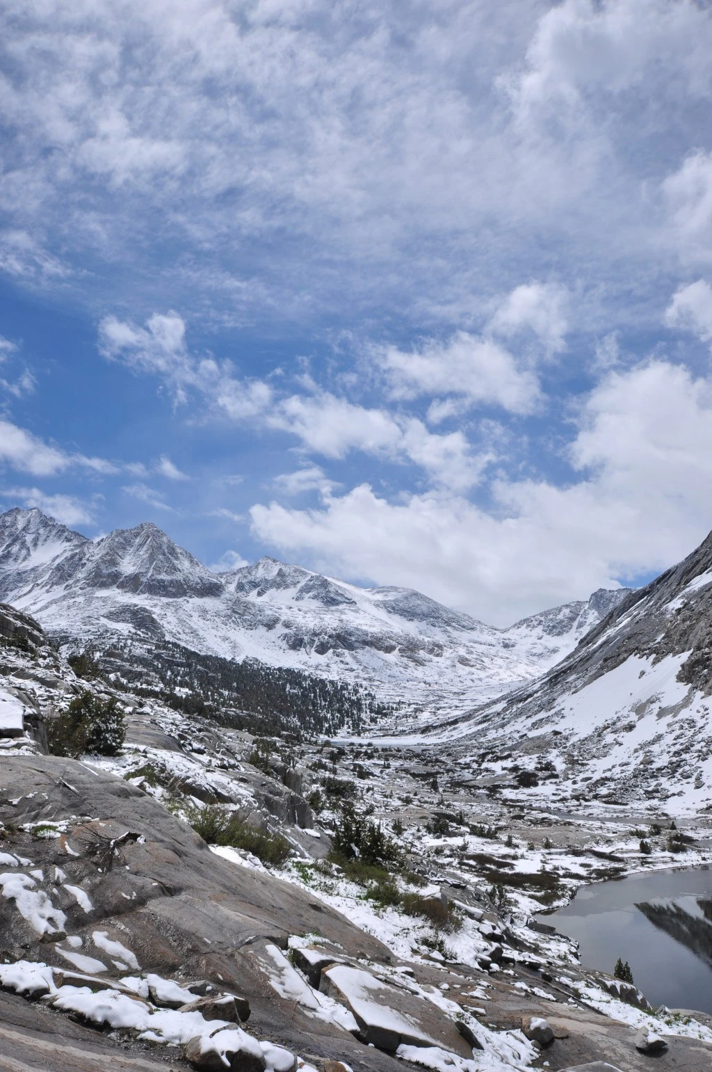 99BA87445BC7F78316BDCD