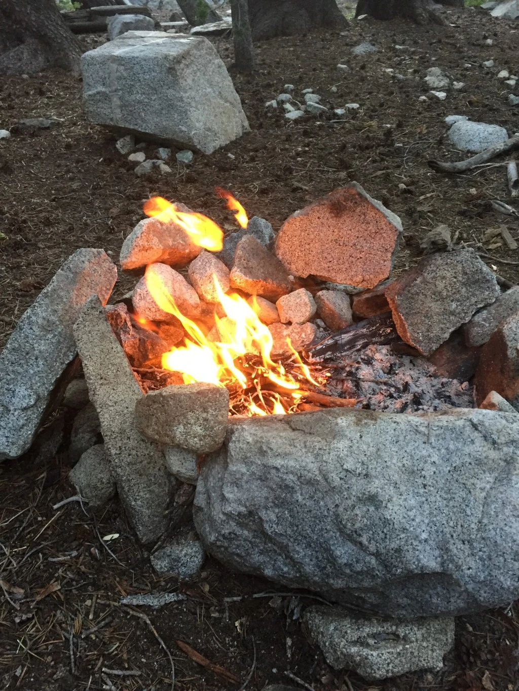 99BBE04F5BE4F2E22D36B7