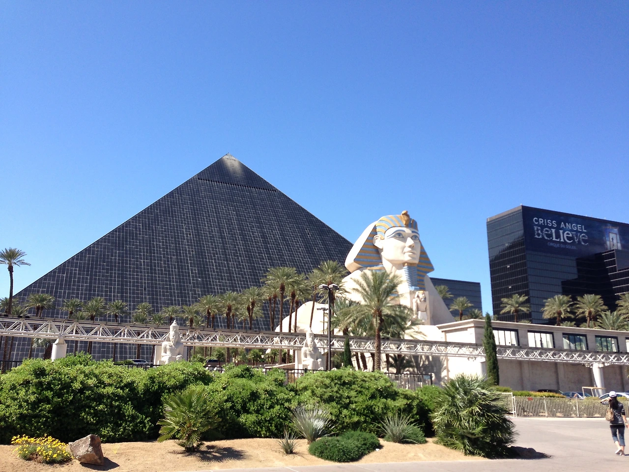 IMG_0698.JPG (2).JPG