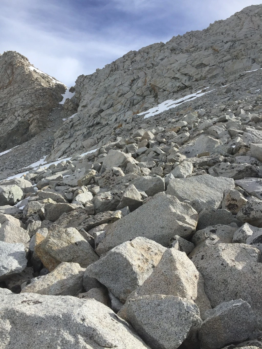 995C70505BAAEA8A0B7361