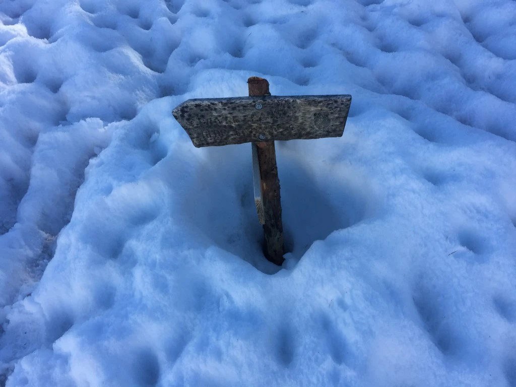 999D1A4C5BE5F6E817101C