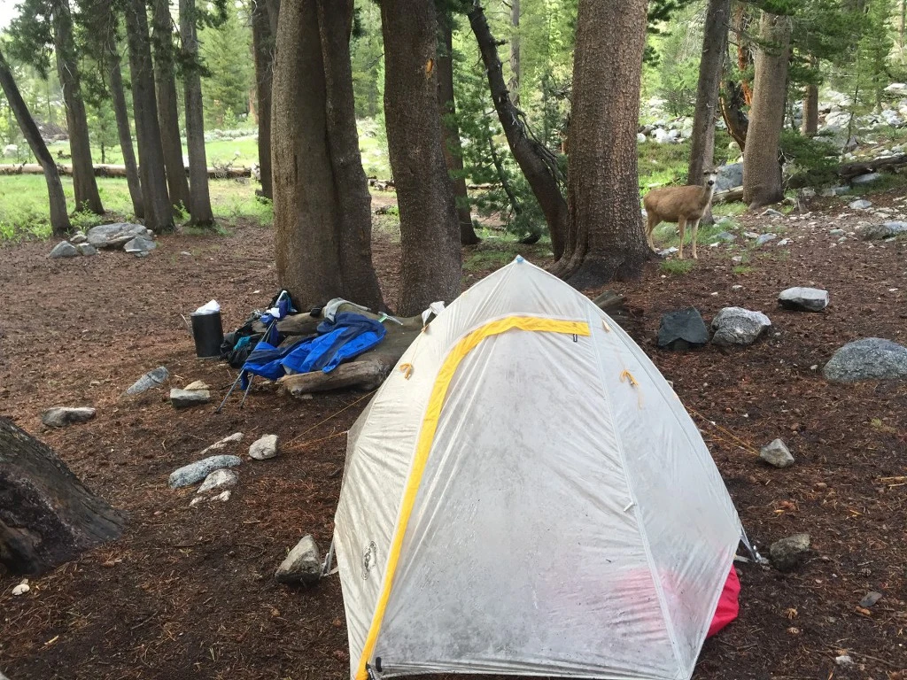 9937134B5BC7F893160786