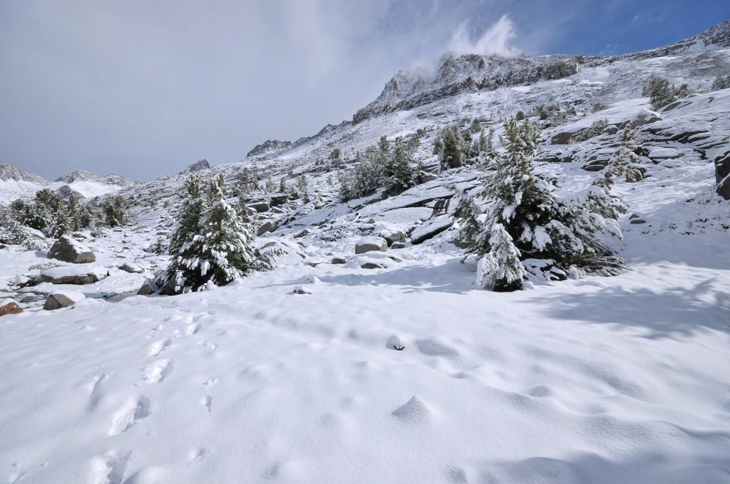 99B7993E5BC7F41B05743D