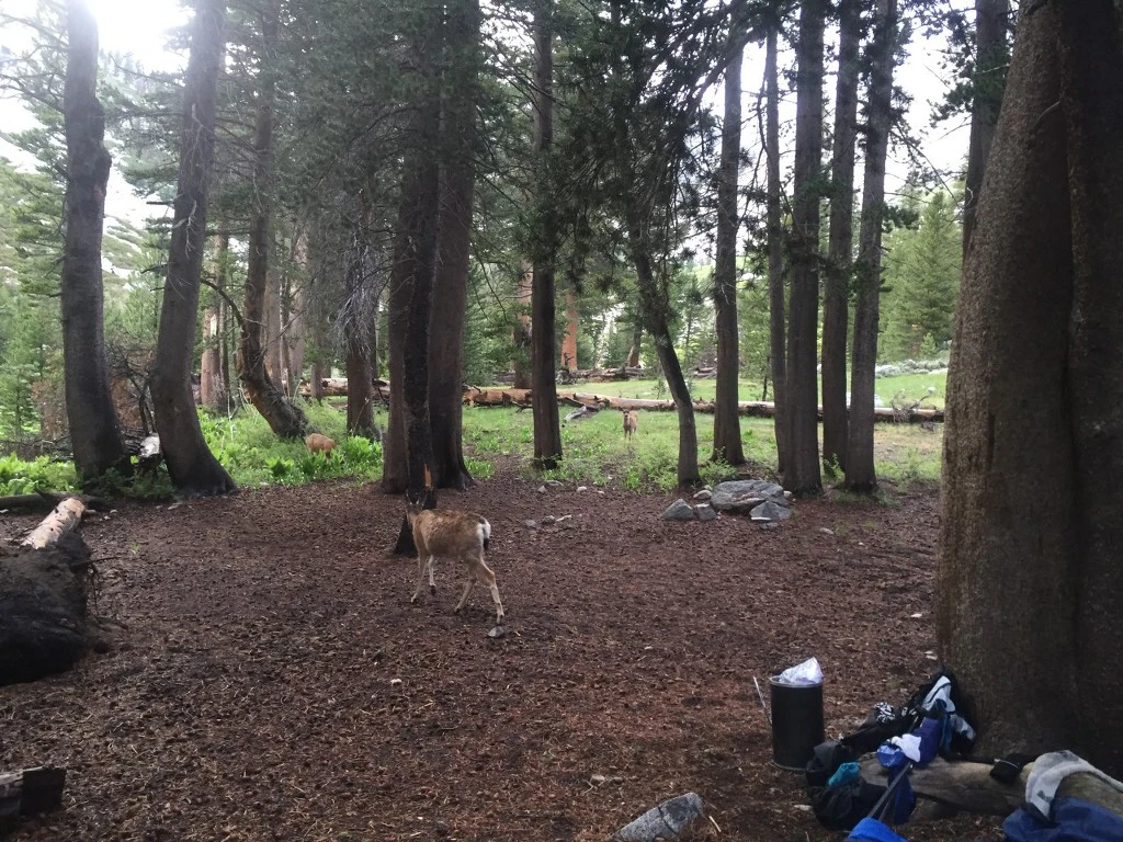 99722A3D5BC7F8970F31F9