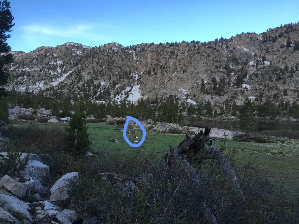 999E7E3C5BB03B160B2DD0