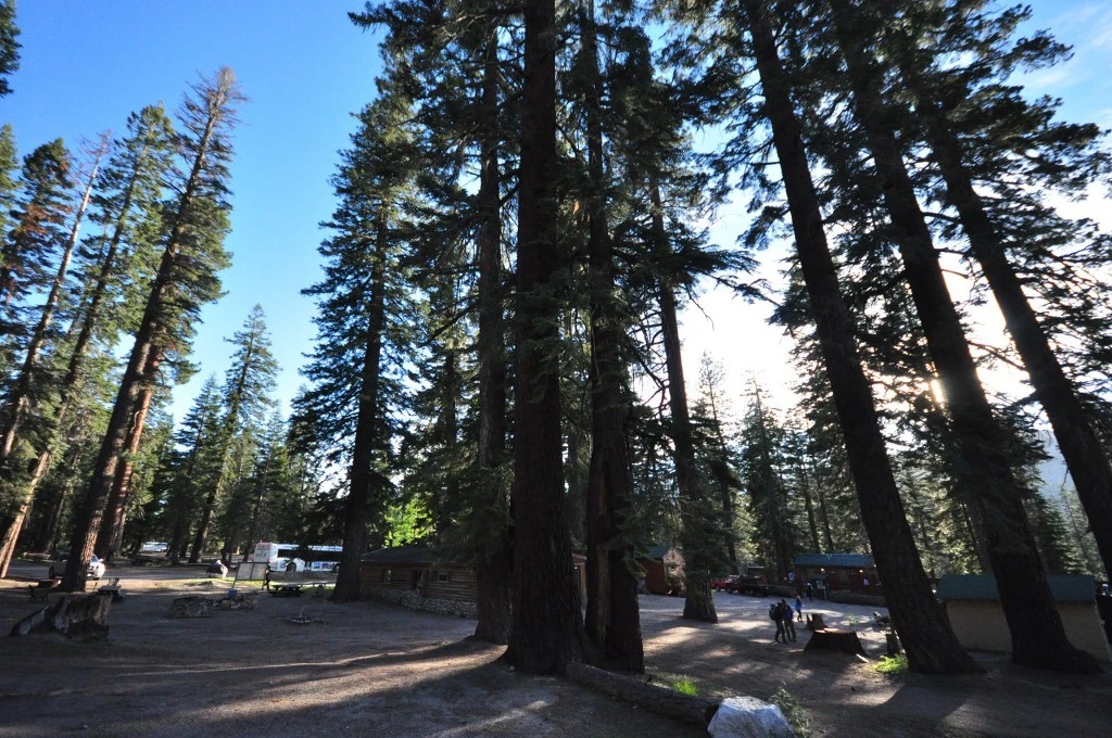 99B1DF4C5BE5F7F61693C6