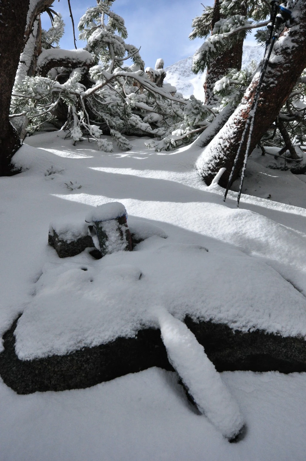 99D486335BC7F4010963FD