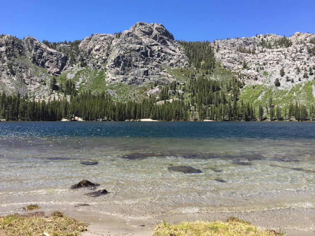 99451F3F5C4A712F12B30C