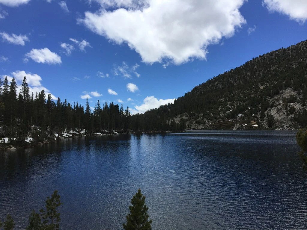 9950573D5BE23B8809563B