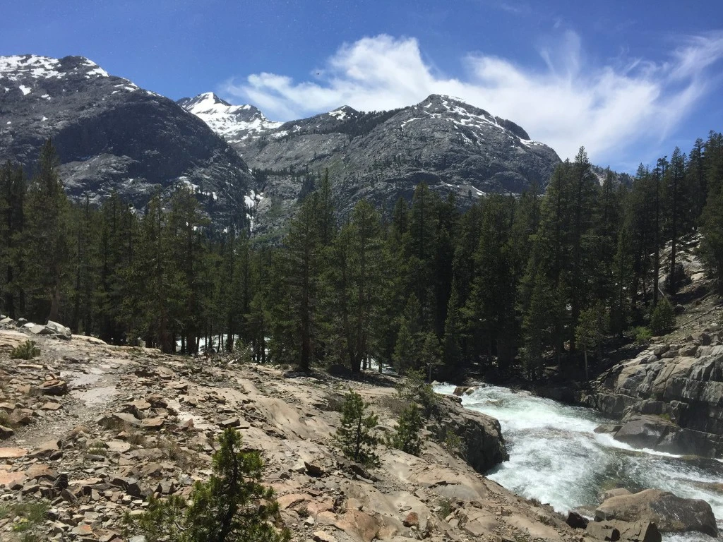 99E504415BE23A991D1AF5