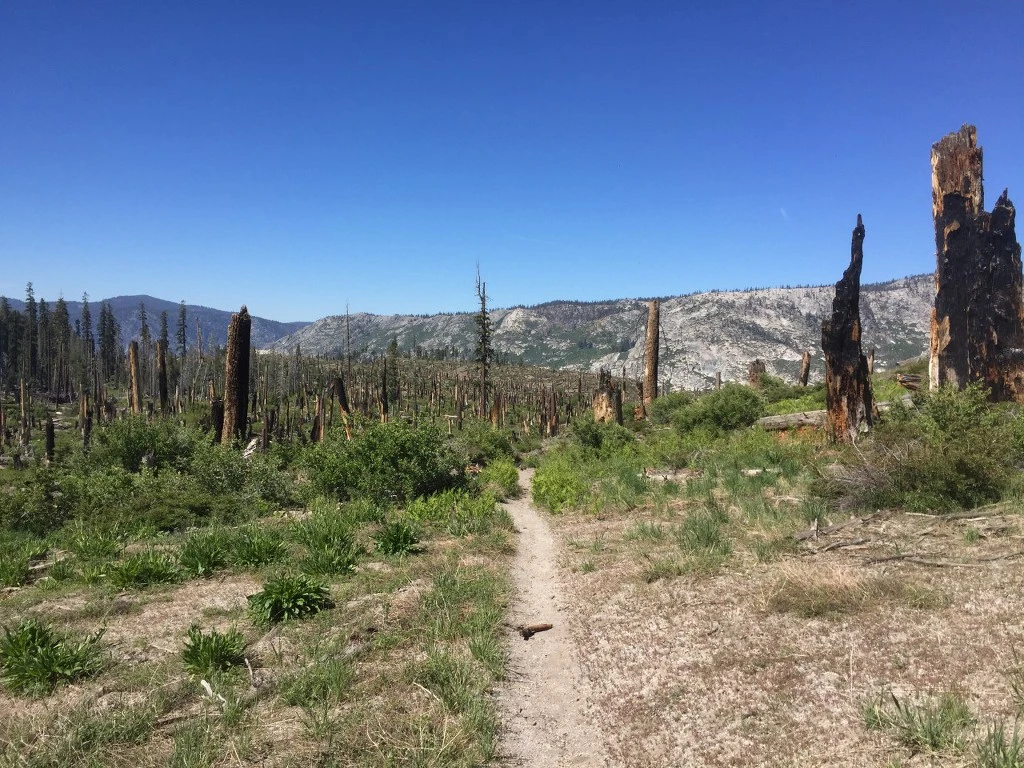 99AD4D4C5BE5F7EF17467C