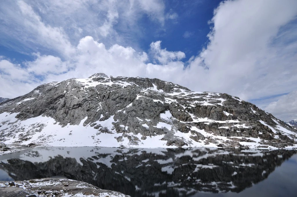 995104445BC7F7791A67BC