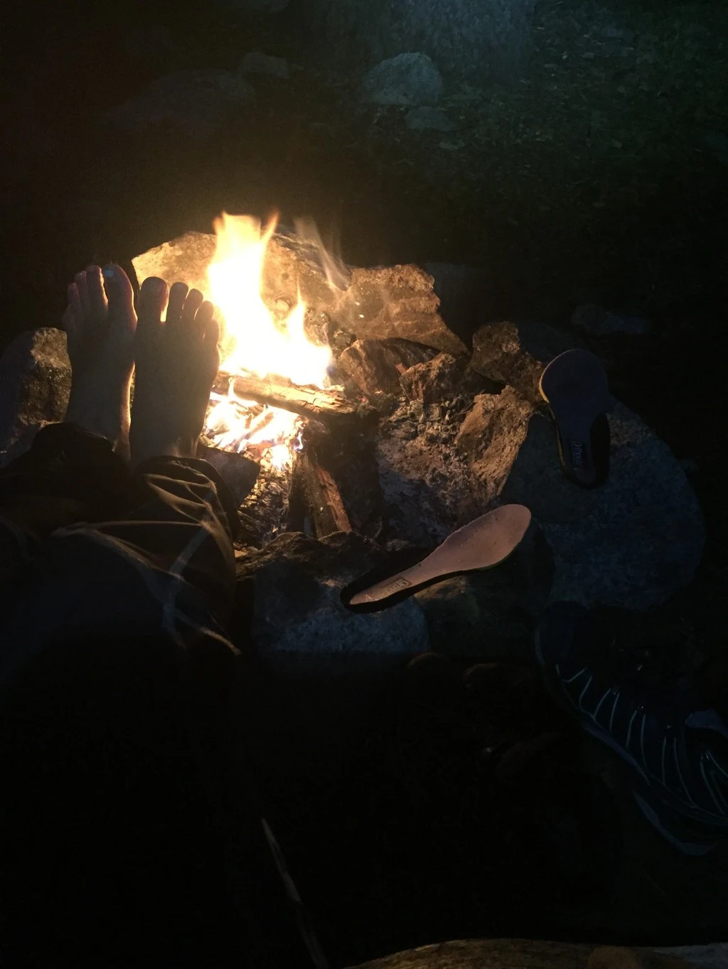 99EDCD505BE5F6FF154CB1