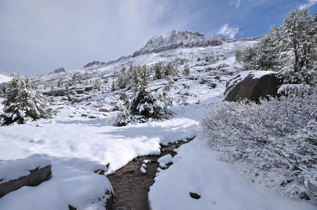 995E7B3E5BC7F41809B61F