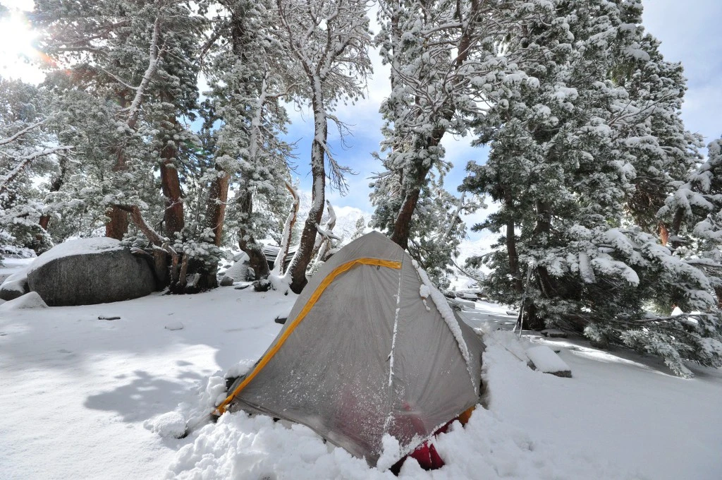 991AC2335BC7F3F504F7EE