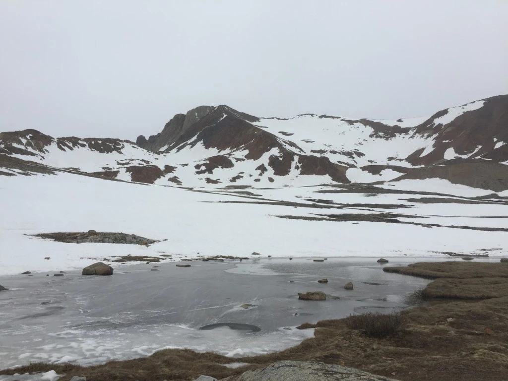 99A221485BB6A9572B399B