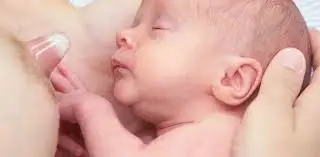 유두보호기 .jpeg