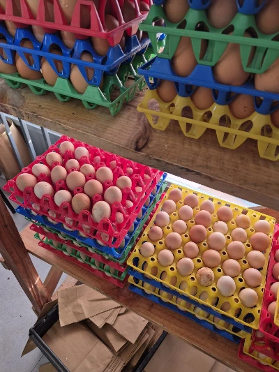 1761980784506?e=1764201600&v=beta&t=SrVqlmmNsdWXqCWeLj8lBtjZgI8RWa6HzBEsxPIGxDY