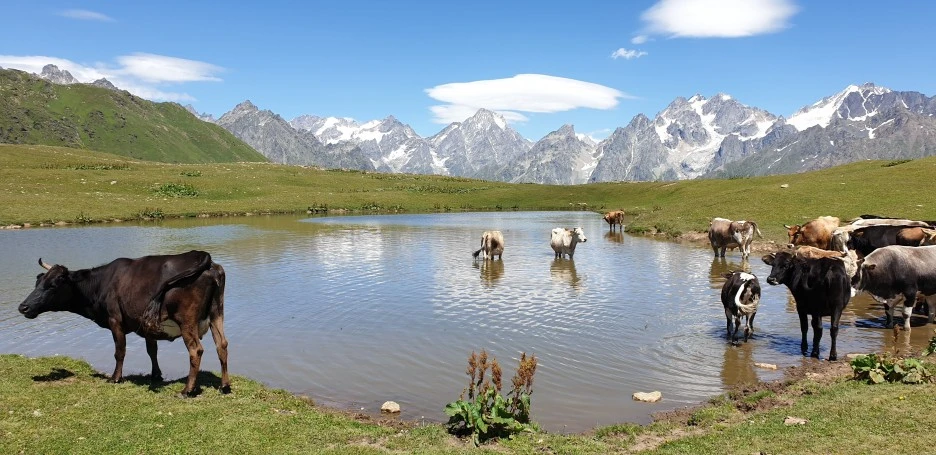 20190730_140500.jpg?type=w1