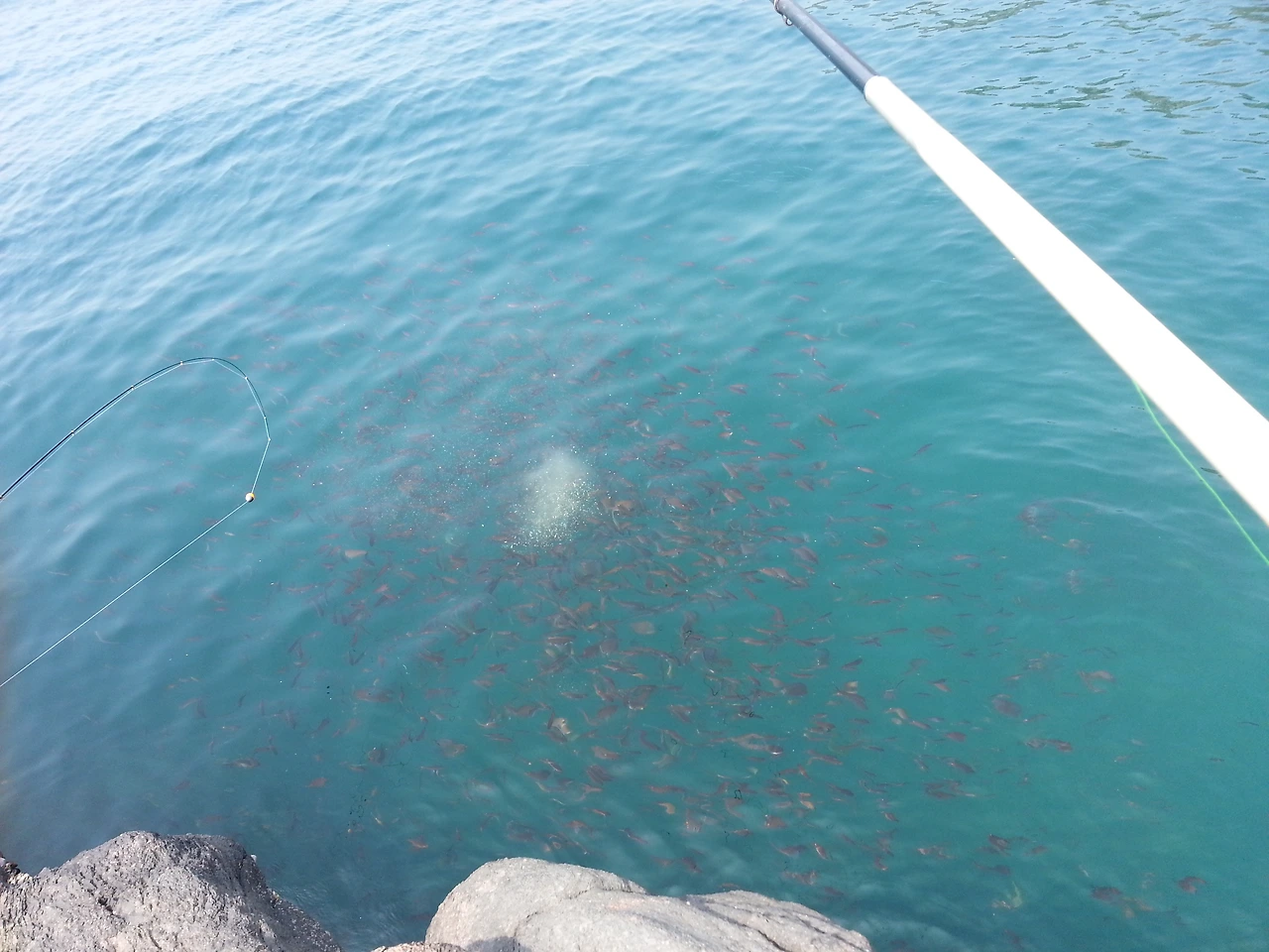 2014-05-23 10.34.05.jpg