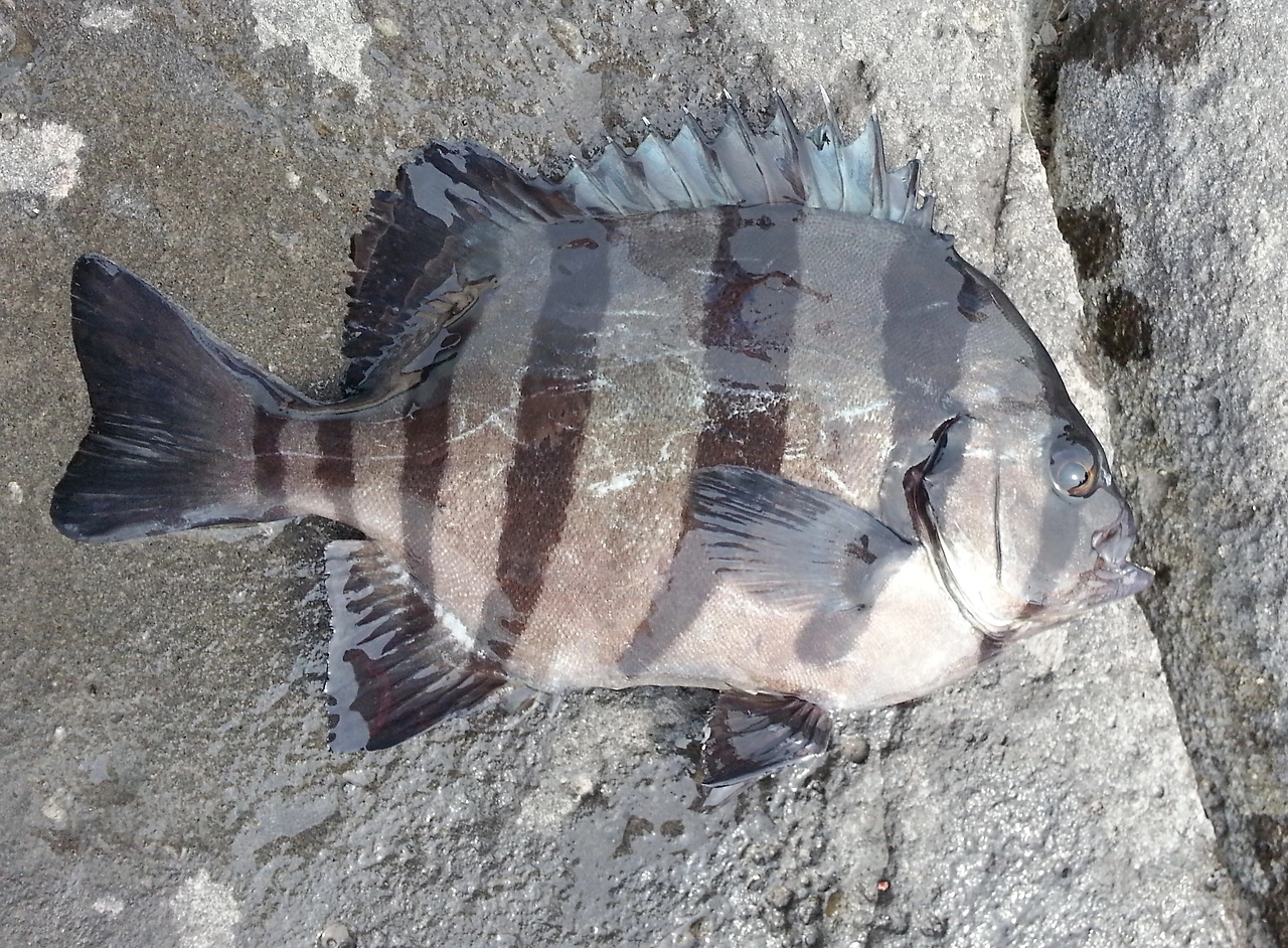 2013-07-29 16.03.09.jpg