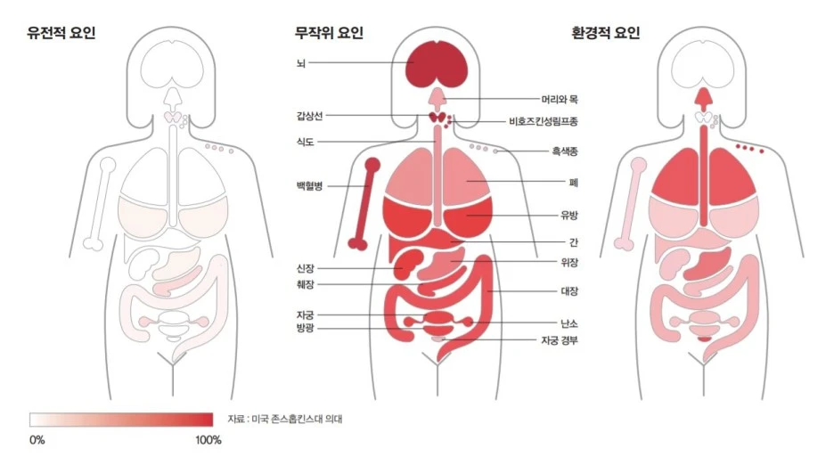 %EC%95%94%EC%9D%98_%EB%AC%B4%EC%9E%91%EC%9C%84%EC%84%B1.JPG?type=w1