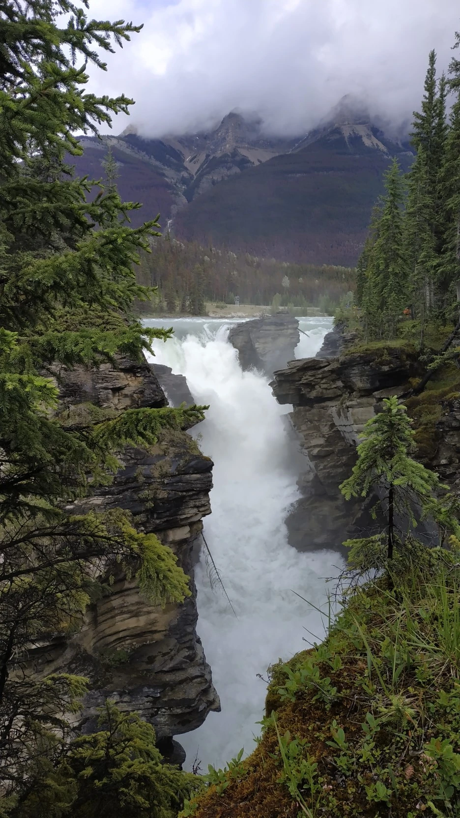 IMG_20190704_152457.jpg?type=w1