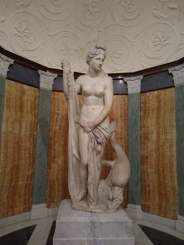 IMG_20181223_111745447.jpg?type=w773